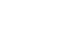 REIQ Logo